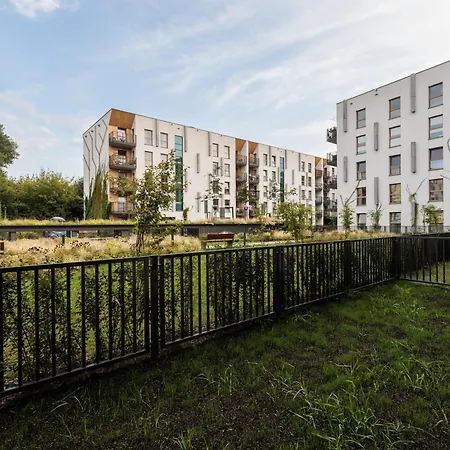 Of The Kings - Eden *